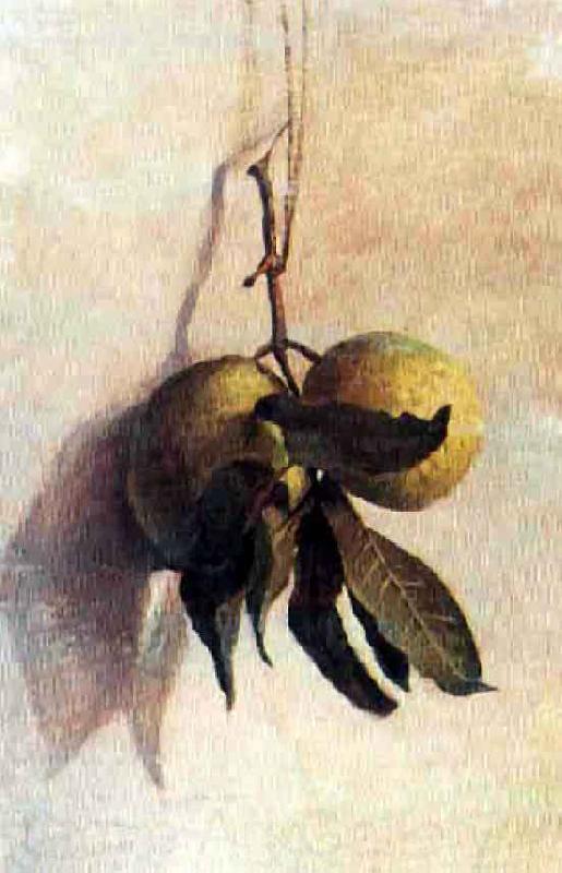Benedito Calixto Guava Spain oil painting art